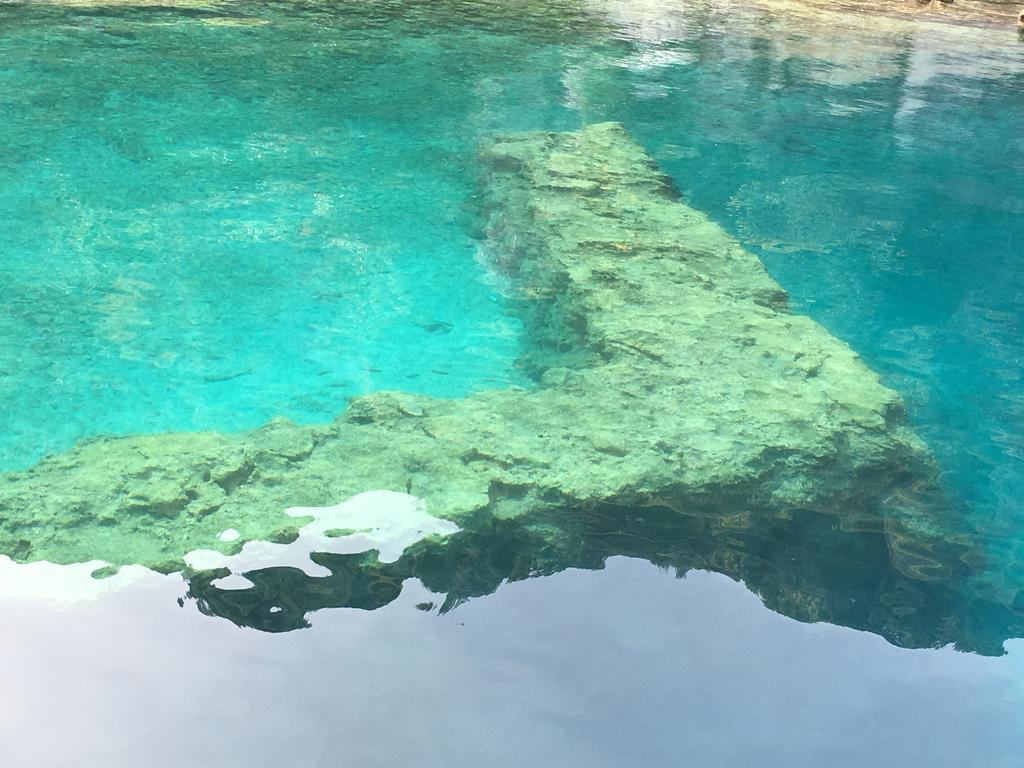 Gonul Pansiyon كالينجاغيس المظهر الخارجي الصورة